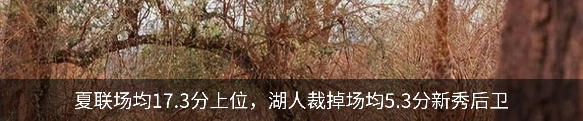资讯中心